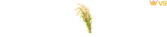 样式ID：160070 芒种节气麦穗小图标简约黄色绿色样式
