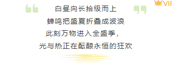 样式ID：160701 夏至节气段落正文简约清新样式
