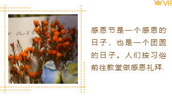 样式ID：135510 感恩节感恩陪伴橙色左右图文