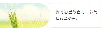 样式ID：159505 二十四节气小满左右图文橙色简约样式