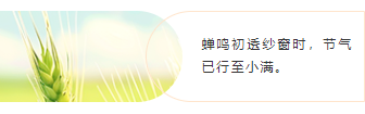 样式ID：159505 二十四节气小满左右图文橙色简约样式