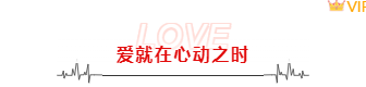样式ID：155570 情人节主副标题文艺红色样式