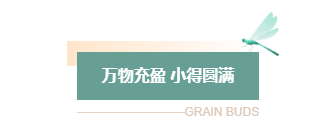 样式ID：159453 二十四节气小满主副标题绿色简约样式