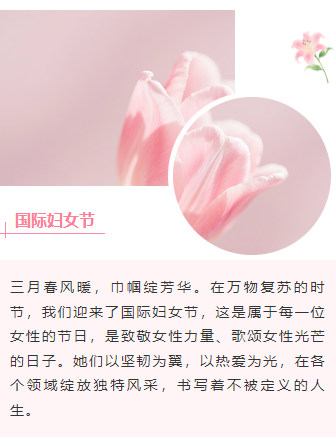 样式ID：169856 妇女节上下图文文艺粉色样式
