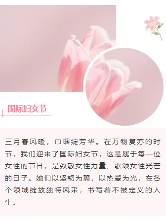 样式ID：169856 妇女节上下图文文艺粉色样式