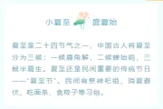 夏至公众号排版素材哪里找？2026样式与模板推荐