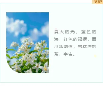 2026暑假旅游公众号排版素材库|免费获取高转化样式 12 样式ID:104872 暑假夏令营旅游度假简约左右图文
