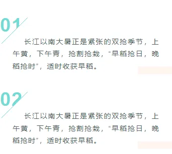 大暑公众号排版不用愁|2026样式素材大放送 8 样式ID:105105 二十四节气大暑黄蓝渐变简约序号正文