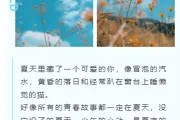 2026暑假旅游公众号排版素材库｜免费获取高转化样式
