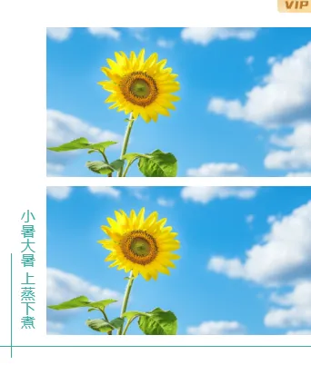 2026小暑公众号排版素材|样式免费获取一键套用 11 样式ID:115949 二十四节气大暑防暑双图
