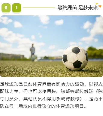 还在为世界杯公众号排版头疼?2026爆款样式+模板一键获取 11 样式ID:120319 世界杯足球比赛色彩简约上下图文