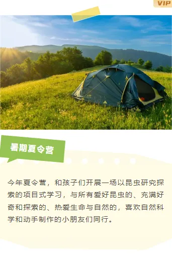 夏令营公众号排版素材大全|运营必看的2026高转化样式推荐 10 样式ID:144234 夏令营上下图文简约黄色样式