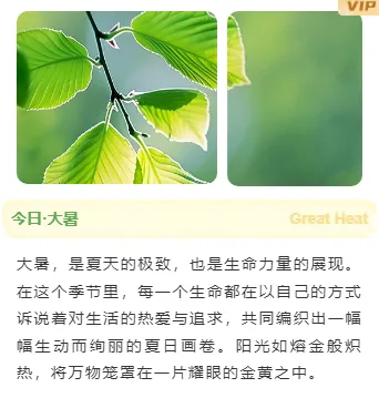 大暑公众号排版不用愁|2026样式素材大放送 12 样式ID:145709 大暑节气上下图文文艺水彩绿色黄色样式