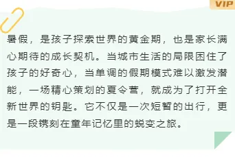 夏令营公众号排版素材大全|运营必看的2026高转化样式推荐 8 样式ID:160598 暑期夏令营底色内容简约绿色样式