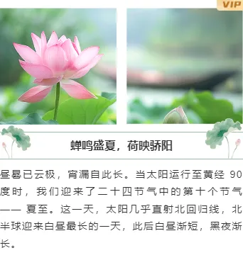 夏至公众号排版素材哪里找?2026样式与模板推荐 10 样式ID:160726 夏至节气上下图文古风绿色样式