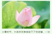 2026小暑公众号排版素材｜样式免费获取一键套用