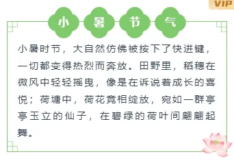 2026小暑公众号排版素材|样式免费获取一键套用 7 样式ID:161278 小暑节气边框内容简约绿色样式