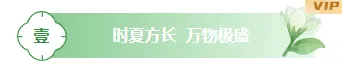 大暑公众号排版不用愁|2026样式素材大放送 1 样式ID:161748 大暑节气图片标题清新水彩绿色样式