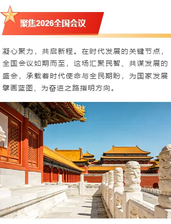 样式ID：169945 全国会议上下图文党政红色样式