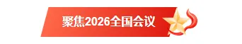样式ID：169960 全国会议图片标题党政红色样式