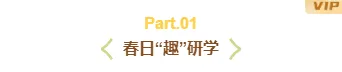 研学公众号排版怎么做?2026年素材样式与模板推荐 3 样式ID:170691 春季研学编号标题卡通黄色样式