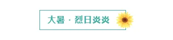 样式ID：115969 二十四节气大暑防暑框线标题