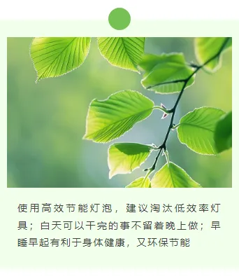样式ID：125622 环保绿色清新简约上下图文