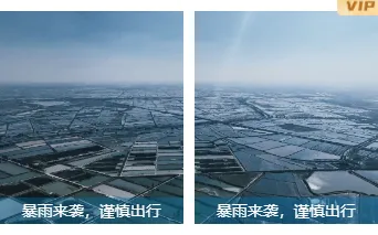 防汛通知公众号排版怎么做?2026蓝色简约素材与模板推荐 12 样式ID:130818 气象台风暴雨预警简约蓝色双图