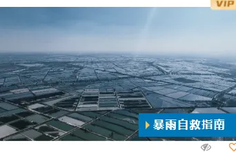 样式ID：130820 气象台风暴雨预警简约蓝色单图