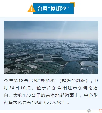 防汛通知公众号排版怎么做?2026蓝色简约素材与模板推荐 6 样式ID:130825 气象台风暴雨预警简约蓝色上下图文