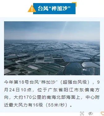 样式ID：130825 气象台风暴雨预警简约蓝色上下图文