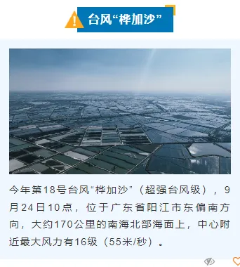 13款台风防御公众号排版样式+3套模板,2026年必备素材合集 8 样式ID:130825 气象台风暴雨预警简约蓝色上下图文