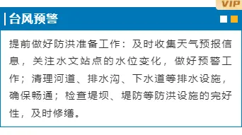 样式ID：130831 气象台风暴雨预警简约蓝色边框内容