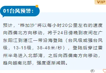 样式ID：130833 气象台风暴雨预警简约蓝色底色内容