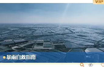 2026防汛通知公众号排版攻略|样式素材与模板全指南 9 样式ID:130913 台风暴雨预警简约蓝色单图