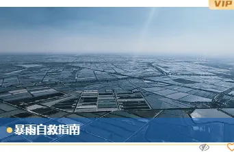 13款台风防御公众号排版样式+3套模板,2026年必备素材合集 11 样式ID:130913 台风暴雨预警简约蓝色单图