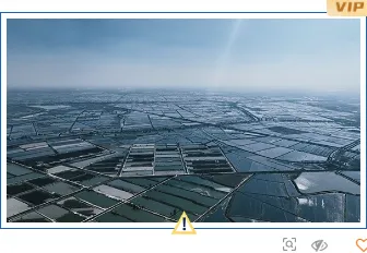 样式ID：130915 台风暴雨预警简约蓝色单图