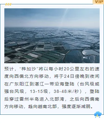 样式ID：130916 台风暴雨预警简约蓝色上下图文