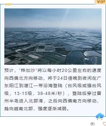 防汛通知公众号排版怎么做?2026蓝色简约素材与模板推荐 5 样式ID:130916 台风暴雨预警简约蓝色上下图文