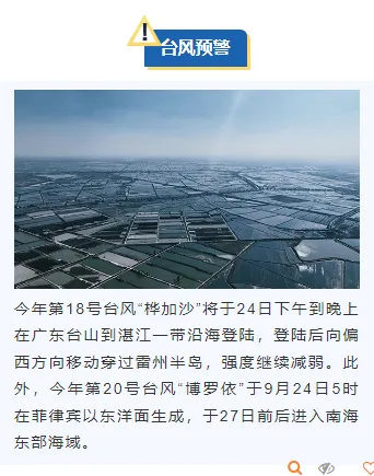 样式ID：130917 台风暴雨预警简约蓝色上下图文