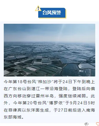防汛通知公众号排版怎么做?2026蓝色简约素材与模板推荐 10 样式ID:130917 台风暴雨预警简约蓝色上下图文