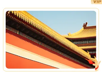样式ID：139545 学雷锋纪念日单图红色政务样式