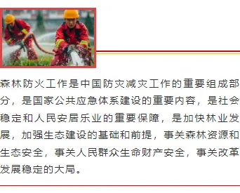样式ID：97787 红色消防森林火灾防护常识线条双色边上下图文