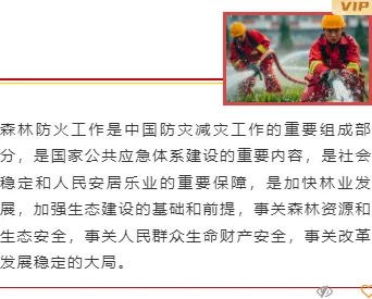 样式ID：98834 红色消防森林火灾防护常识线条双色边上下图文