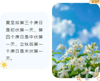 样式ID：105382 夏季三伏天蓝色简约左右图文