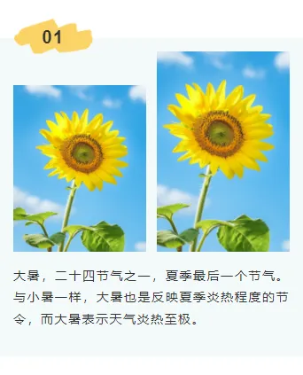 2026桑拿天防暑公众号排版这么做:15款爆款样式+5套精选模板 14 样式ID:115952 二十四节气大暑防暑上下图文