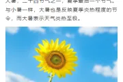 2026桑拿天防暑公众号排版这么做：15款爆款样式+5套精选模板