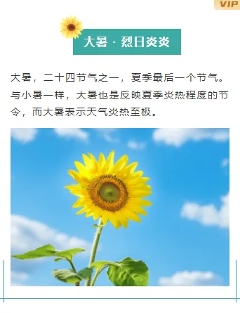 2026桑拿天防暑公众号排版这么做:15款爆款样式+5套精选模板 12 样式ID:115956 二十四节气大暑防暑上下图文