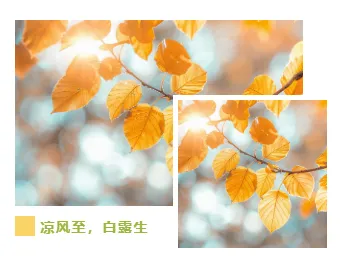 样式ID：116421 二十四节气立秋简约清新双图