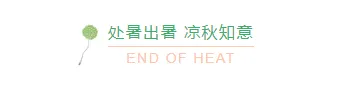 还在为贴秋膘排版发愁?2026公众号素材与样式推荐,一招搞定食欲感推文 14 样式ID:117009 二十四节气处暑极简清新主副标题